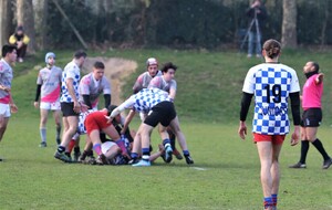 62291a346d785_IMG3731.jpg
