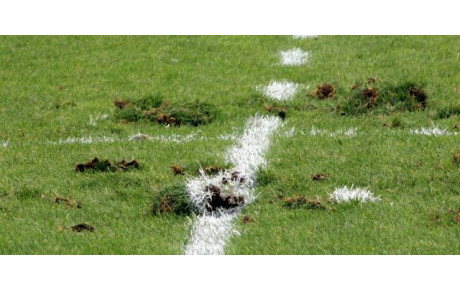 SENIORS - JOURNEE 7 - RESULTATS ET CLASSEMENT