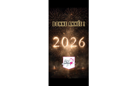 ✨ Bonne année 2026 ! ✨
