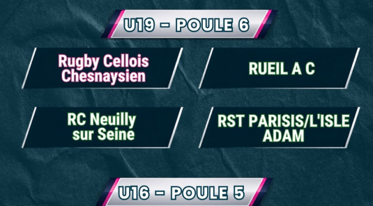 🏉 PÔLE COMPÉTITION – LES POULES DE BRASSAGE SONT CONNUES ! 🐗🦁